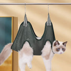 Cat in a green mesh hammock against a beige background
