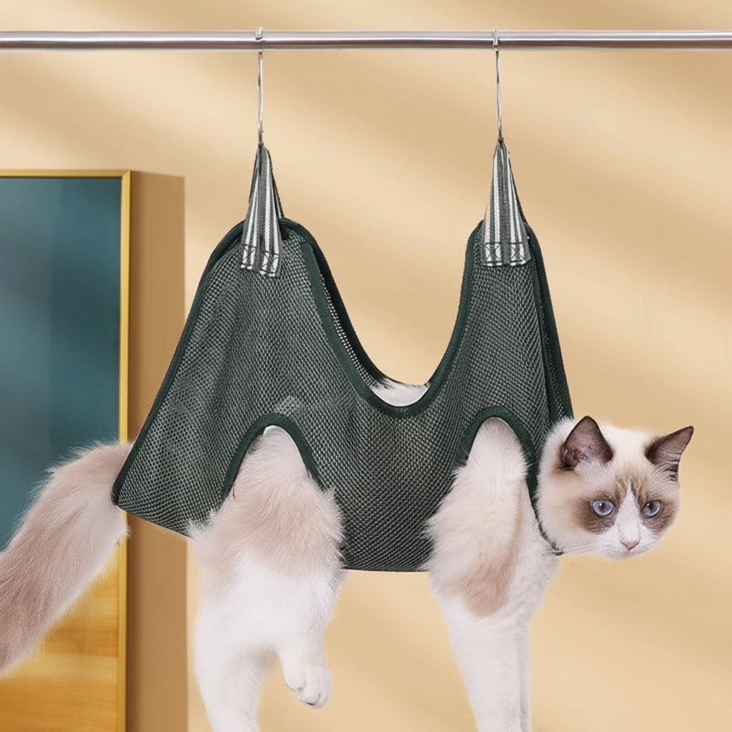 Cat in a green mesh hammock against a beige background