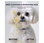 Pet Eye and Dental Finger Wipes